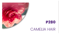 Cuidado personal fragancias Camelia Hair P280