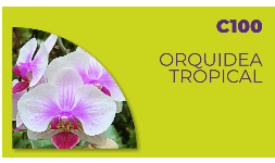 Fragancias para desengrasantes y multi limpiadores Orquidea Tropical C100