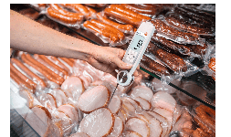 Termometros para alimentos - Testo - GIMIM