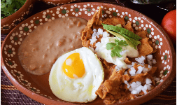 Alimentos deshidratados salsa deshidratada para chilaquiles