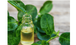 Aceites esenciales de especias de árbol de té