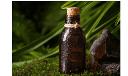 Extractos de cuassia
