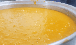 Pulpa de mango en SLP