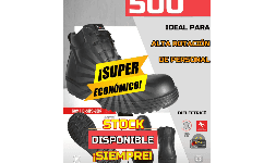 Zapato industrial Económico