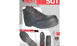 Zapato industrial Económico