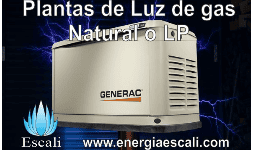 Plantas de luz de Gas Generac 10kW 