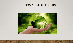 Gestion ambiental y STPS