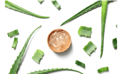 Especialidades cosméticas Fermentado de Aloe