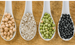 Extractos para alimentos Aporte Proteico