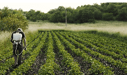 Lignosulfonato de calcio en la Agricultura