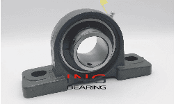 Chumaceras de Piso 2 Barrenos UCP205 25MM