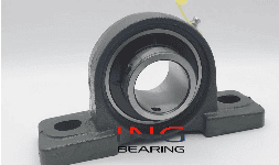 Chumaceras de Piso 2 Barrenos UCP205-16 1