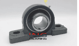 Chumaceras de Piso 2 Barrenos UCP206-19 1-3/16” (30.16 MM)