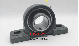 Chumaceras de Piso 2 Barrenos UCP207 (35 MM)