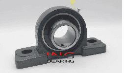 Chumaceras de Piso 2 Barrenos UCP209 (45 MM)