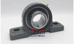 Chumaceras de Piso 2 Barrenos UCP210 (50 MM)