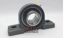 Chumaceras de Piso 2 Barrenos UCP215-48 3