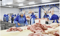 Ablandadores para carnes para industrias y restaurantes