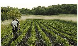 Lignosulfonato de sodio para la Agricultura en Coahuila