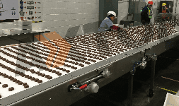 Bandas transportadoras alimenticias acumuladoras