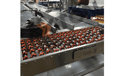 Conveyor Industria en General