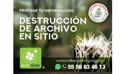 Destruccion de archivo muerto en sitio Ecoglob Reciclaje