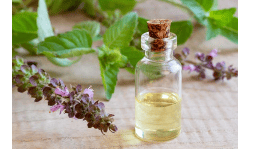 Extracto Hidroalcohólico de Cola de Caballo Estimulante Natural (Equisetum Arvense)