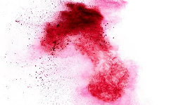 Colorantes reactivos rojo lanasol 2G