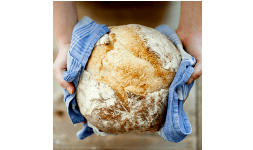 Enzimas para la industria alimentaria de origen microbiano, animal y vegetal Nutryplus