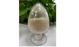 Lipasa para alimentación animal