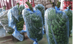 Bolsa bananera de polietileno