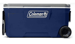 Termos para transporte y conservación de vacunas con capacidad de 100 qts