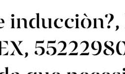 Liners de inducción