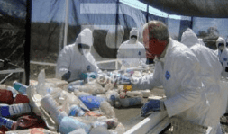 Equipo de reciclaje de materiales plásticos - Molinos Industriales Carsi