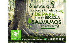 Reciclados de papel Compra de reciclaje CDMX