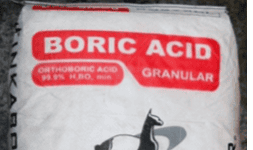 Acido bórico en polvo