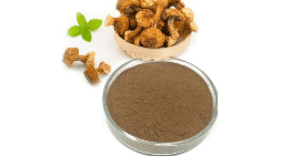 Herbolaria HONGO HIMEMATSUTAKE