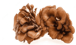 Herbolaria HONGO MAITAKE EN POLVO