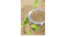 Herbolaria SALVIA EXTRACTO SECO O EN POLVO