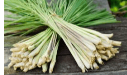 Herbolaria LEMON GRASS EN POLVO