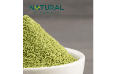 Nopal deshidratado en polvo natural