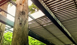 Madera plastica 100 % ecológica