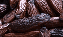 Habas Tonka para reposteria