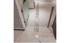 Guías para ciegos