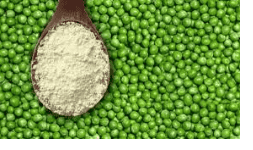 Proteínas en polvo CONCENTRADA DE CHÍCHARO