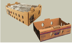 Cajas de carton personalizadas para envios