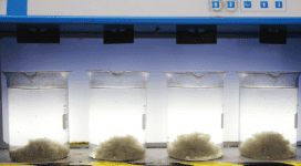 Sulfato de aluminio sólido BLEFLOC®