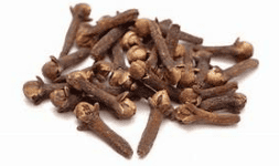 Clavo de olor Syzygium aromaticum