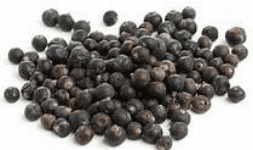 Enebro bayas juniperus communis