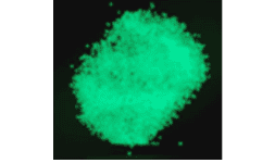 Arenas fotoluminiscentes Lumins Arena